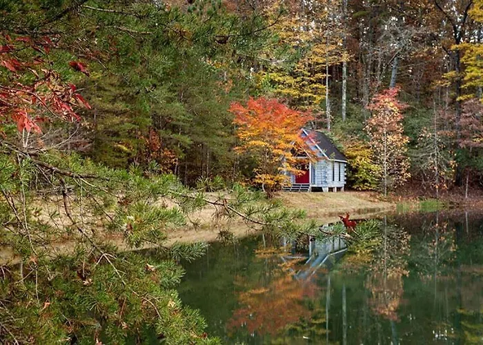 Morningstar On The Lake