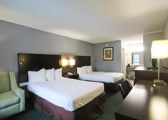 Pets Allowed Hotel Greenville Inn & Suites