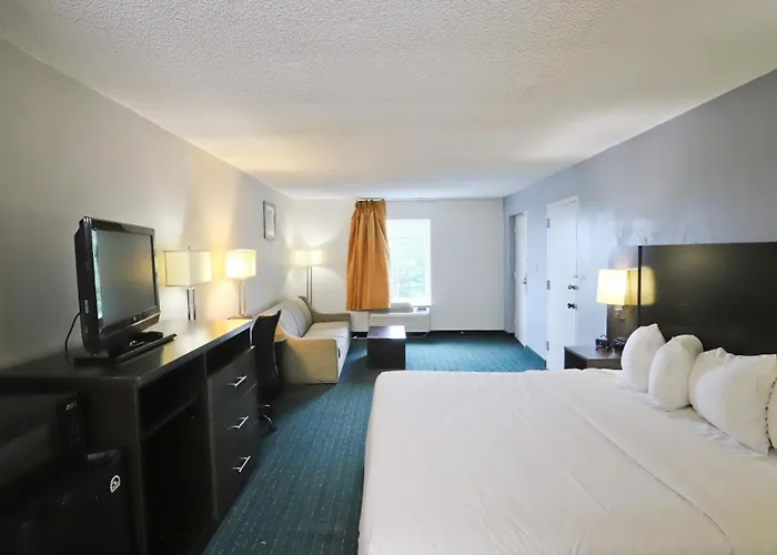 Pets Allowed Hotel Greenville Inn & Suites