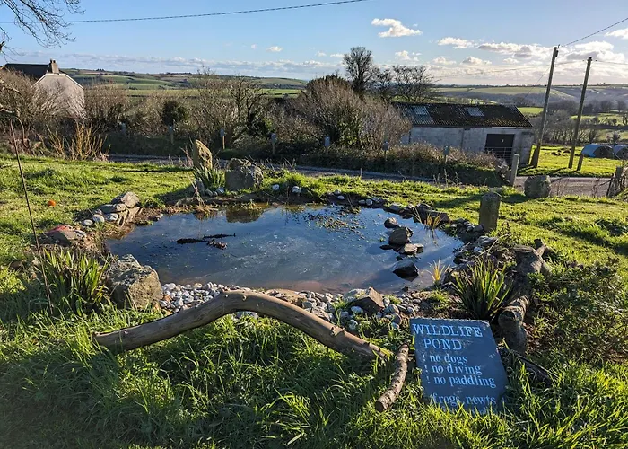 Prosecco - Lydcott Glamping Cornwall, Sea Views
