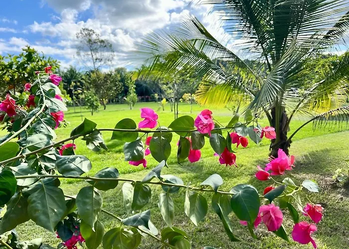Casa Tropical Ceiba