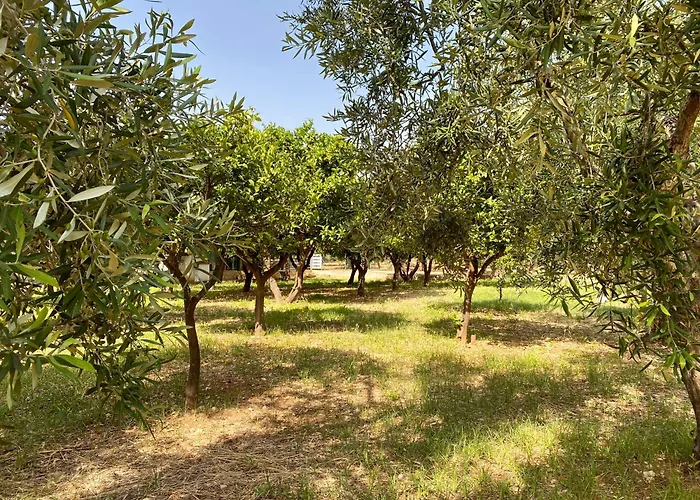 Hotel sulla spiaggia: Villetta San Matteo
