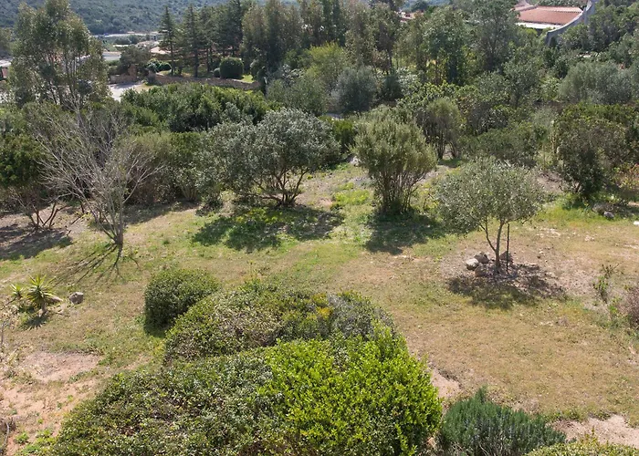 Villa Immersa Nel Verde Con Meravigliosa Vista Mare