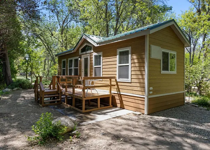 Brand New Cabins