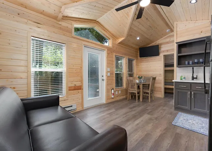 Brandnew Cabin