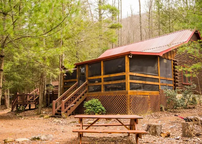 Reel Medicine - Cherry Log, Ga - Enjoy Peaceful Creek Views, Soak In The Hot Tub, Gather Around The Fire Pit, And Cozy Up By The