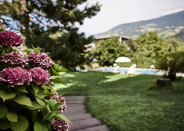 Zentrales Hotel: Hotel Jarolim