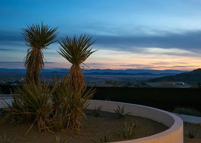 The Sowe Joshua Tree
