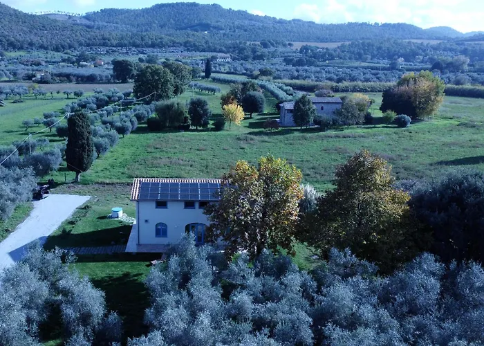 La Traversa Di Bolsena