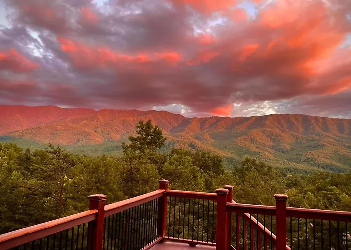 A Luxury View