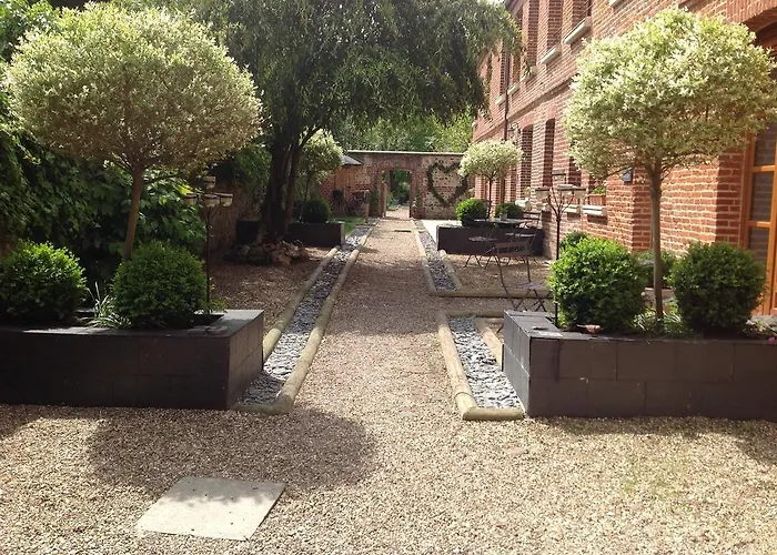 Le Fond De La Cour