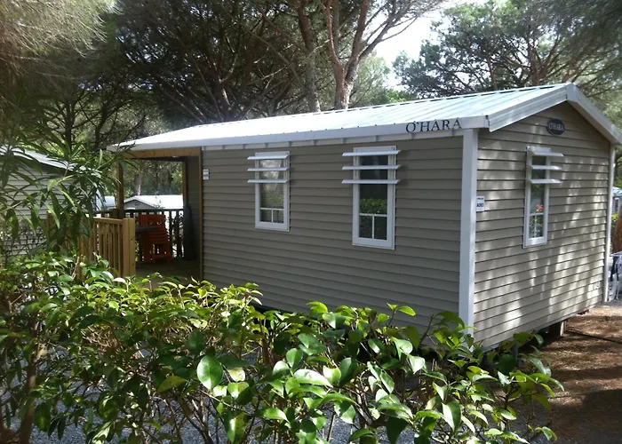 Camping Resort La Baume La Palmeraie