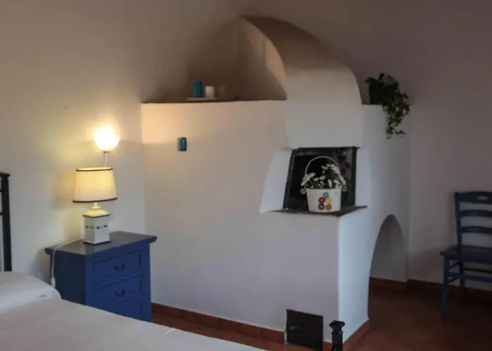  Galea