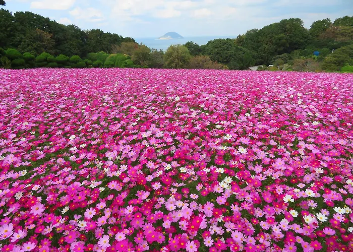 Nokoshima Island Park Villa Sakimori