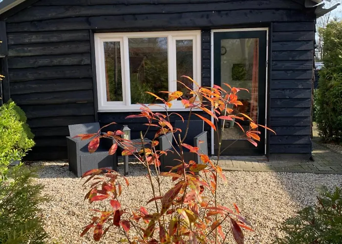 Veluwse Bos en Heide Studio