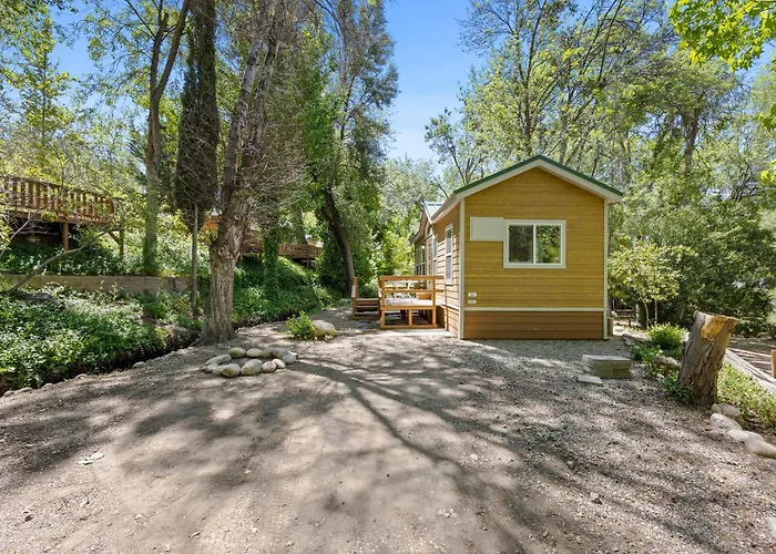 Brandnew Cabin