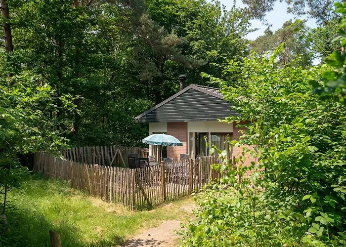 Comfort 6-Person Dog Bungalow In The Holiday Park Landal Heideheuvel