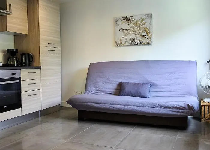 Studio Occitanie 20 m2 tout équipé avec jardin