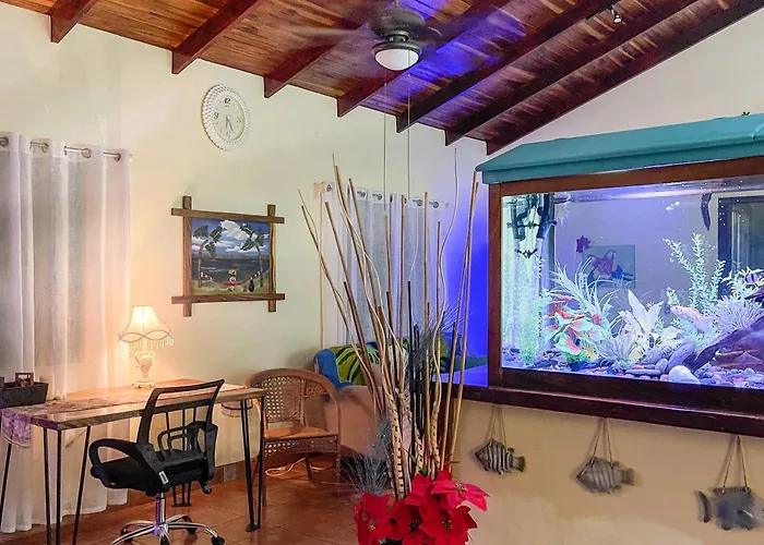 Casa Oasis In The Center Of Puerto Jimenez
