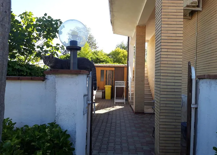 Le Bagnanti Di Miro'