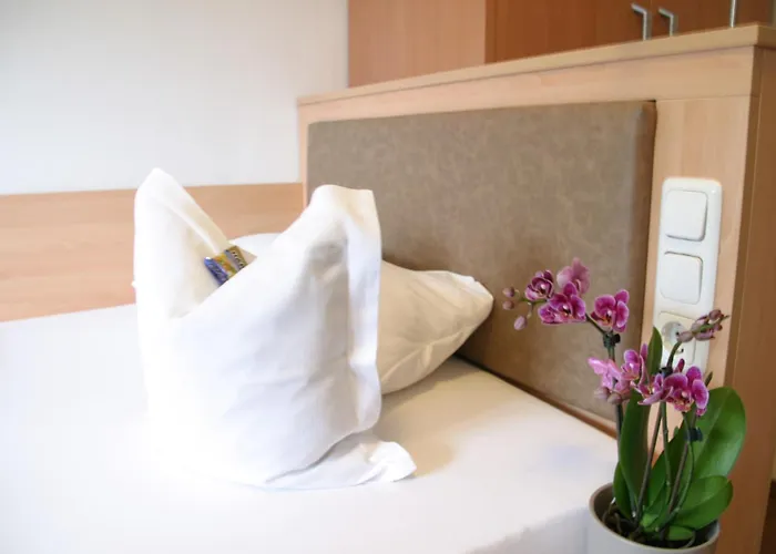 Hotel-Restaurant Bellevue