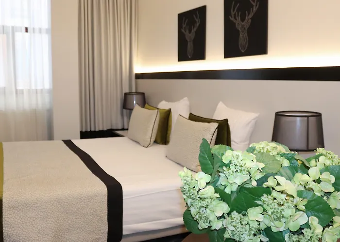 Hotel adatto agli animali: Hotel Floris Arlequin Grand-Place