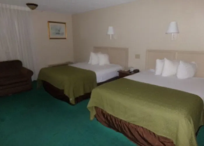 Dog friendly hotels Reagan Resorts Inn (Adults Only)
