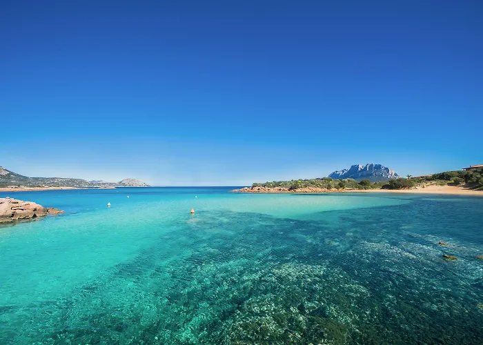 Haustierfreundliches Hotel: Hotel Ollastu