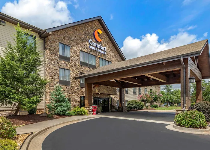 Pets Allowed Hotel Comfort Inn & Suites Blue Ridge