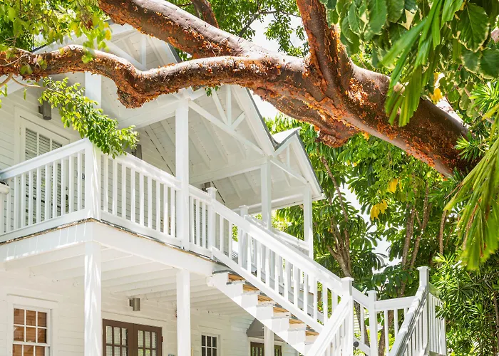 Pet Friendly hotel: Nyah - Adult Exclusive