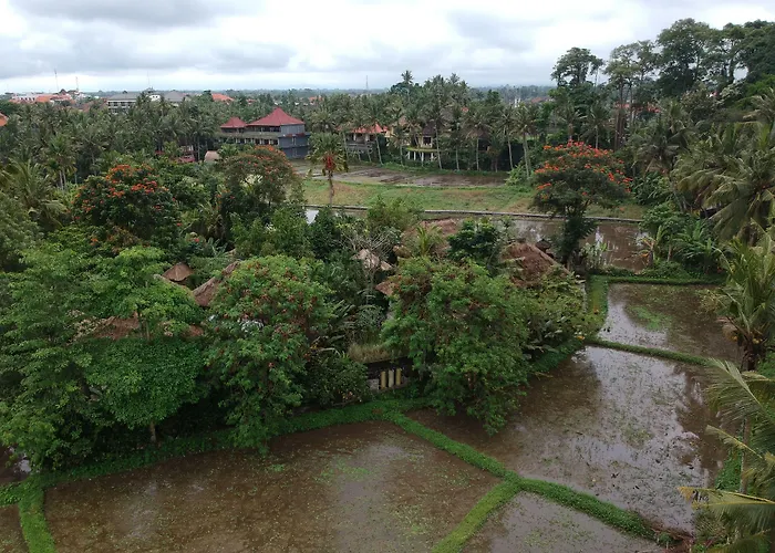 3 star hotel: Byasa Ubud