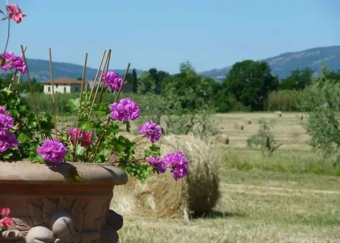 Agriturismo La Torricella