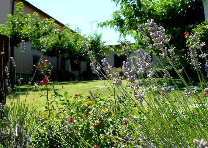 Agriturismo La Torricella