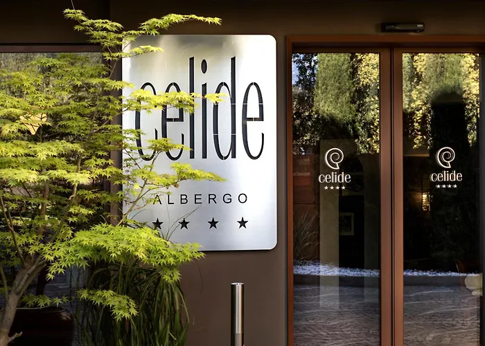  Celide