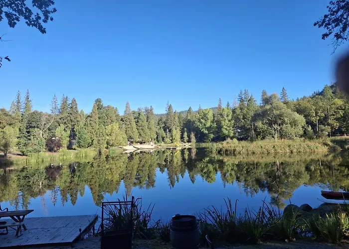 1Br Dog-Friendly Lakefront Cabin W/ Canoes