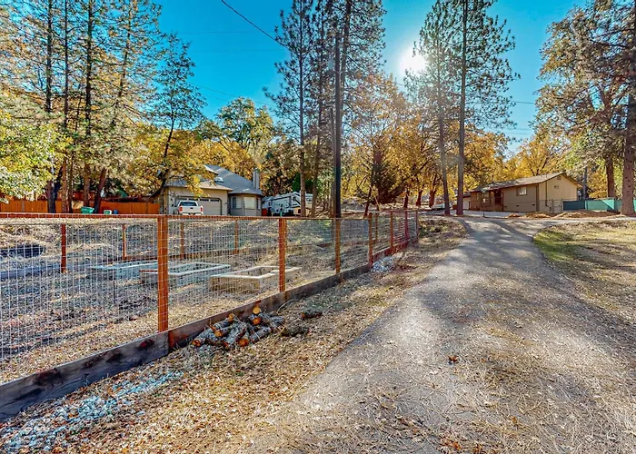 1Br Dog-Friendly Lakefront Cabin W/ Canoes