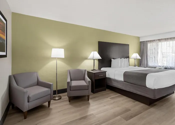 Pets Allowed Hotel Best Western Asheville-Blue Ridge Parkway