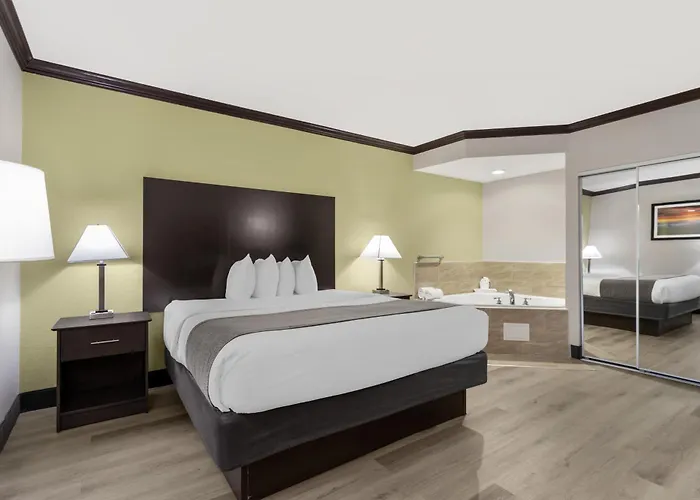 Pets Allowed Hotel Best Western Asheville-Blue Ridge Parkway