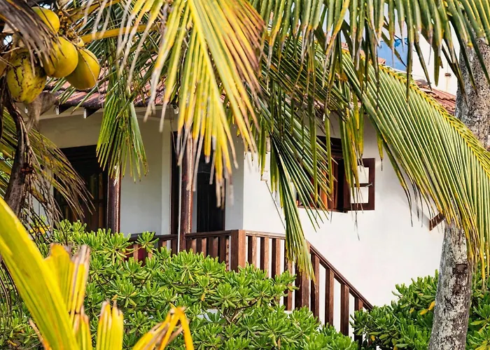 Tropical Garden