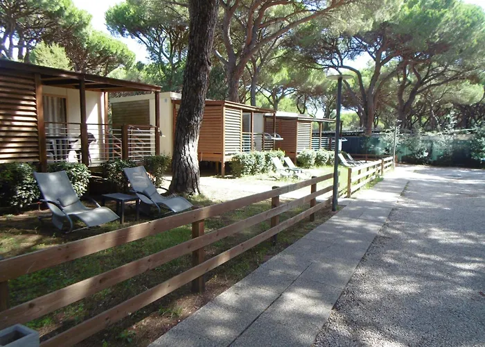 Camping Eden