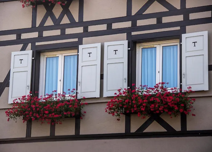 Hôtel accueillant les animaux: Hôtel Turenne