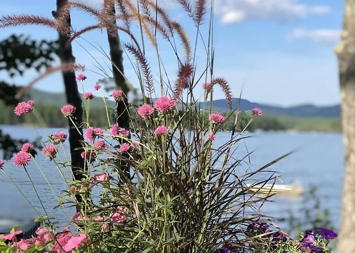 Leavitt Bay Shores