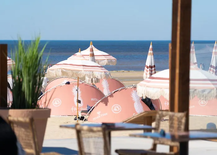 Ferienhaus: Chalet Zandvoort