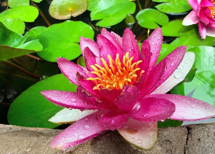 Villa Modernista