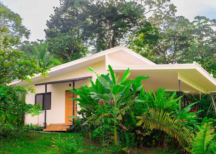 Villa Bruno - Jungle Lodge Near Corcovado & Puerto Jimenez