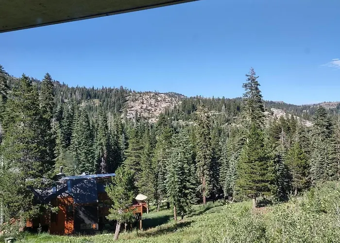Unique & Open Cabin With Atrium Vh 125 Apts