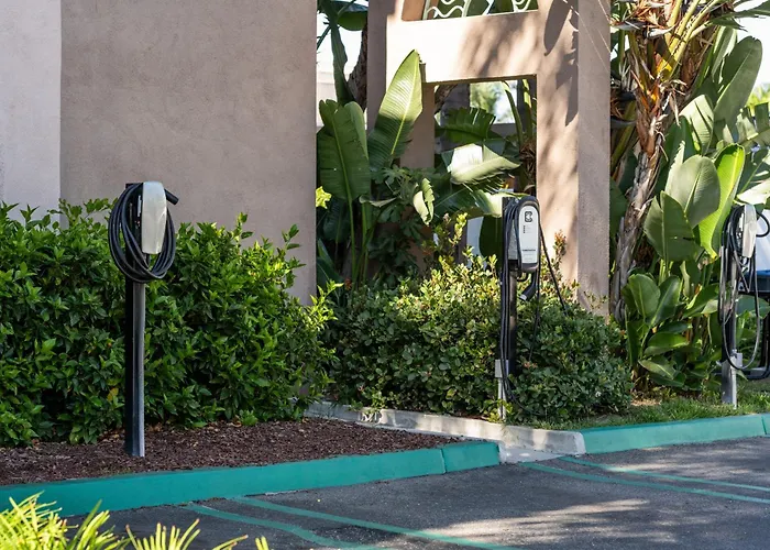 In Luxury hotels Cortona Inn And Suites Anaheim Resort
