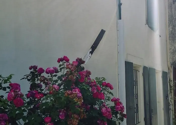 La Coulée Douce - Chez Antoine