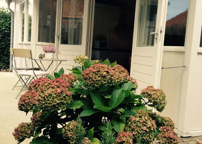 Tiny House Madame Jeanette nabij centrum en zee
