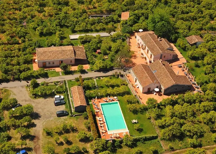  Galea